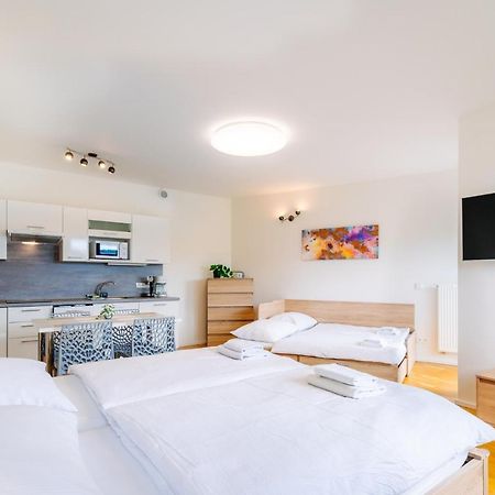 Horsky Apartman Temari 12 Klinovec Loucná pod Klínovcem Exterior foto